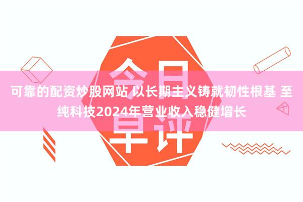 可靠的配资炒股网站 以长期主义铸就韧性根基 至纯科技2024年营业收入稳健增长