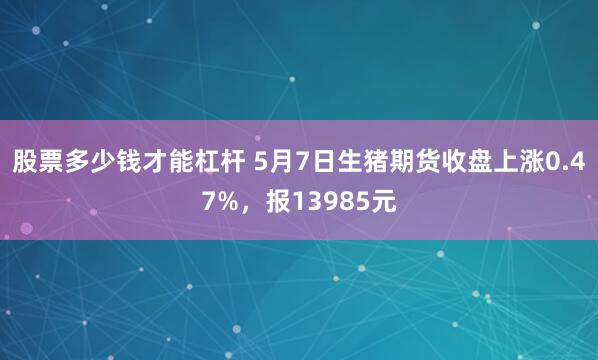 股票多少钱才能杠杆 5月7日生猪期货收盘上涨0.47%，报13985元