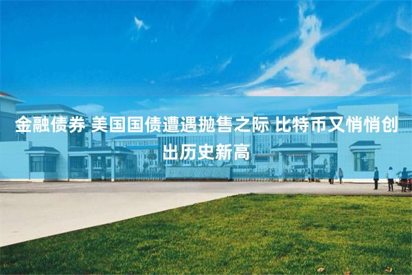 金融债券 美国国债遭遇抛售之际 比特币又悄悄创出历史新高