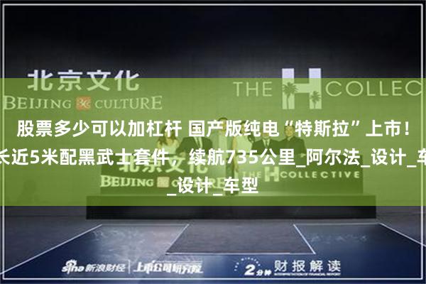 股票多少可以加杠杆 国产版纯电“特斯拉”上市！车长近5米配黑武士套件，续航735公里_阿尔法_设计_车型